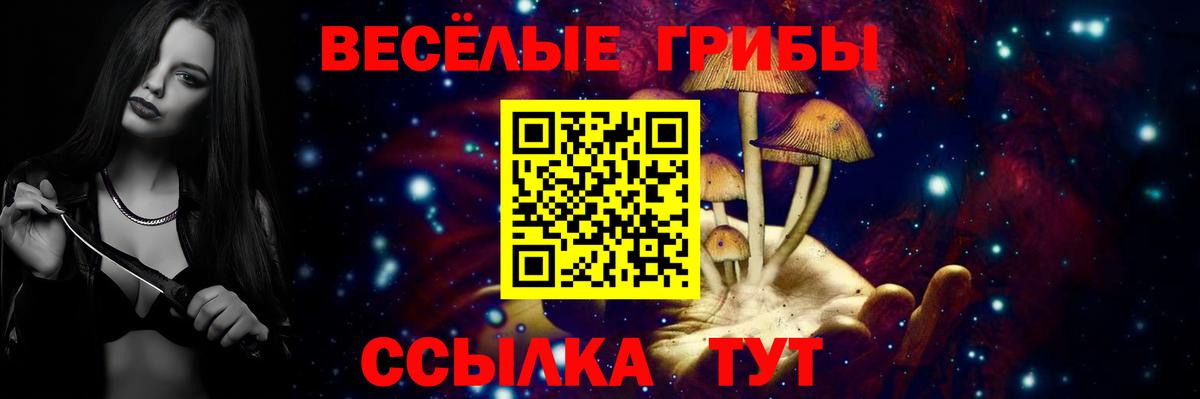 Псилоцибиновые грибы GOLDEN TEACHER  Вход с VPN  Магадан 